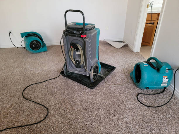 Best Ceiling water damage repair  in Duquesne, PA