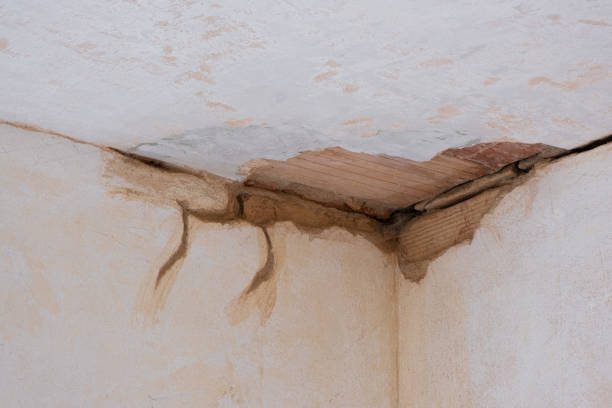 Best Flood restoration services  in Duquesne, PA