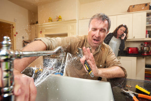 Best Water damage contractors near me  in Duquesne, PA